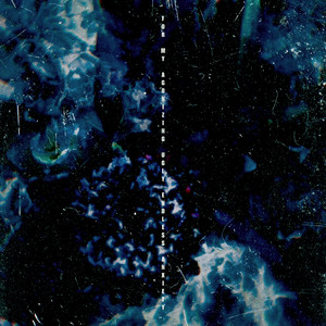 欧美黑人巨大videos
