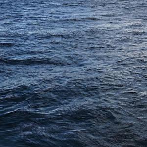 欧美黑人巨大videos
